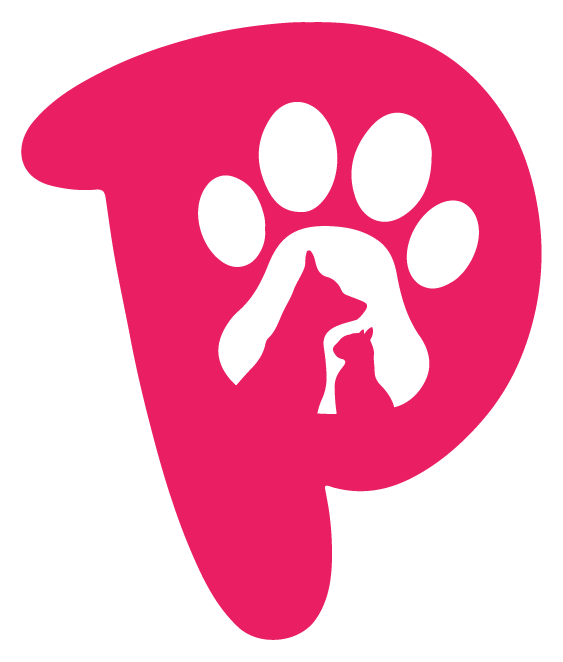 Astronaut Lite Pet Carrier Backpack - Transparent Economy